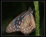 aCRW_3888.jpg