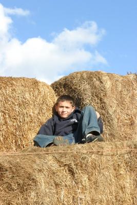 IMG_8826.JPG