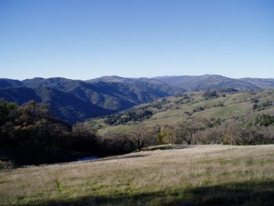 Looking north towards Sizer