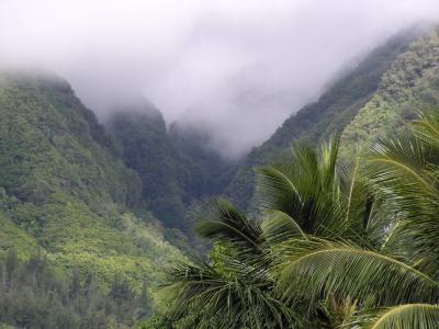 Kuliouou Valley mist