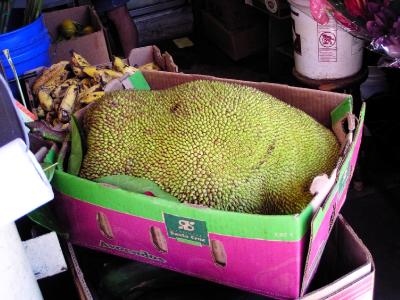 Humungous Jackfruit