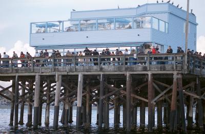 11-01 Newport Pier