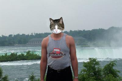 Niagara Falls is Purr-Fect!