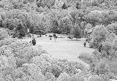 Infrared