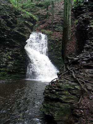 Bushkill Falls 2003