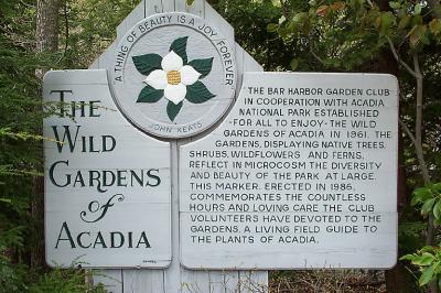 Wild Gardens of Acadia