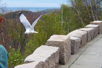 Come Fly Away