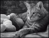 Fletcher and Friend