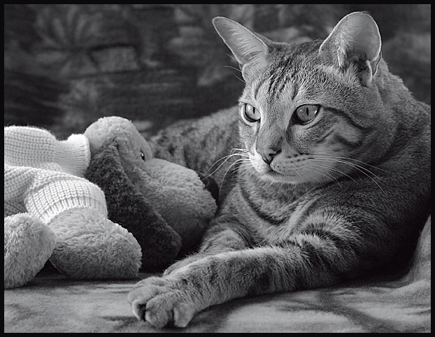 Fletcher and Friend