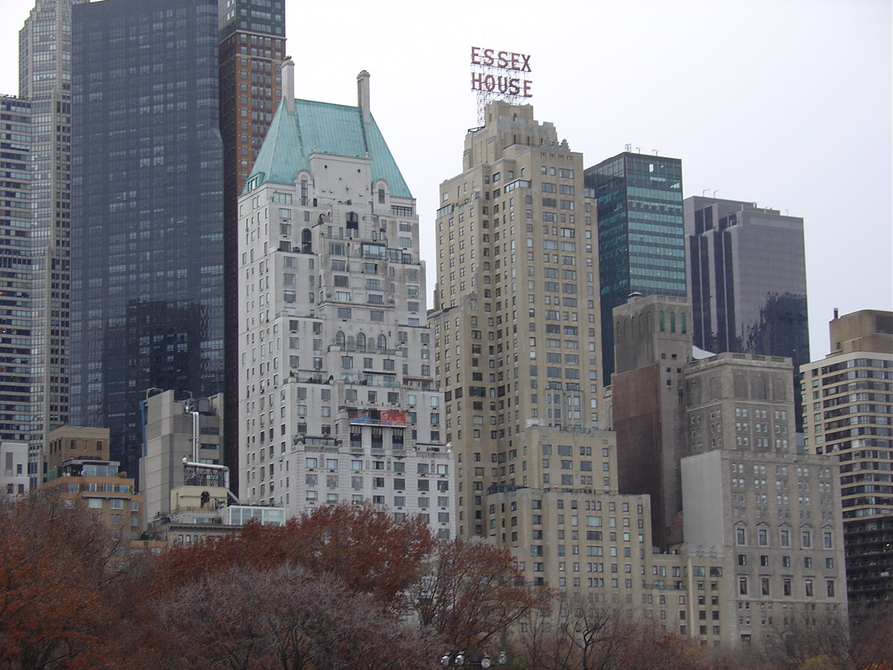 New York view from central park