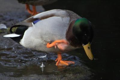 IMG03145.jpg
