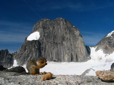 Ground Squirrel in front of Snowpatch Spire