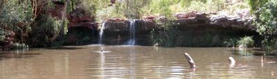 Fern Pool, Karijini National Park, Pilbara, WA (1 high x 3 wide)