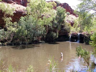 Fern Pool, Dales Gorge