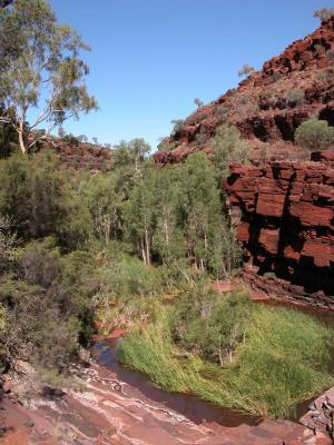 Fortescue Falls, Dales Gorge