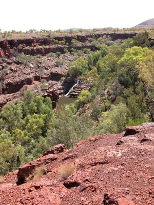 Fortescue Falls, Dales Gorge