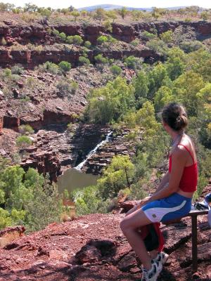 Overlooking Fortescue Falls, Dales Gorge