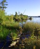 Deception Pass State Park 02