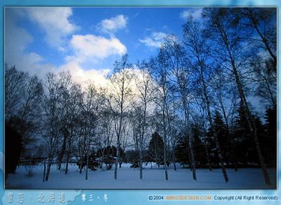 scenery_snow_16.jpg