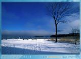 scenery_snow_03.jpg