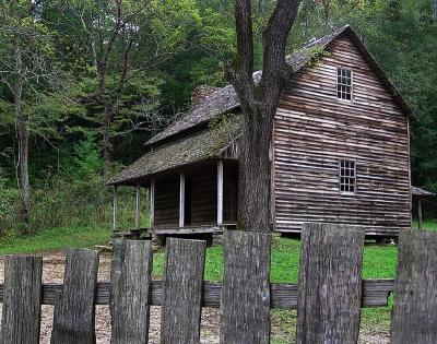 Cades Cove Cabin 3 posterized