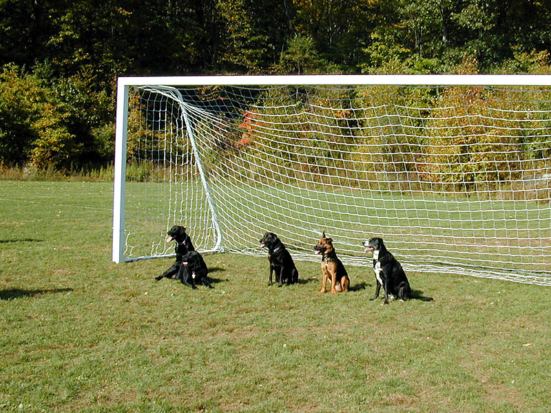 soccer (football) practice