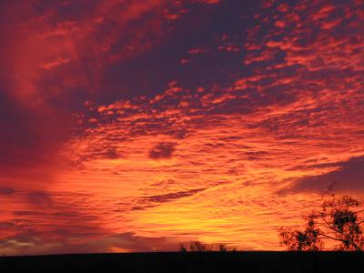 Winter Sunset - November, 2003