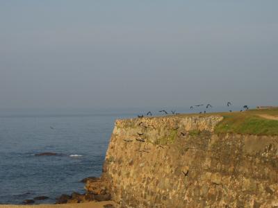 Part of the fortified coast