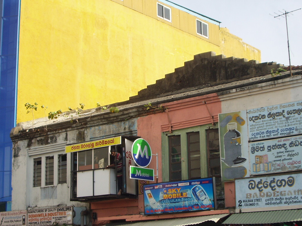 Nice tropical color schemes