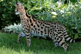KieraProfileOutdoors-2.jpg