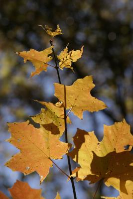index03_091_RT8.jpg