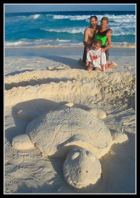 Turtle
