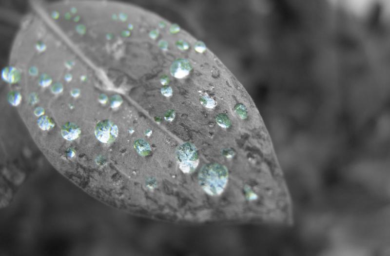 <b>Overnight Rain</b><br>By TarikB