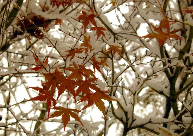 Underneath it all*   by Carrie