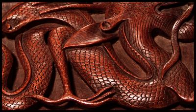 Sinuous Scales *  by mlynn