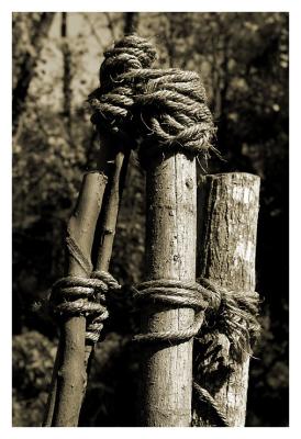 Rope Hinges*by Ed Hahn