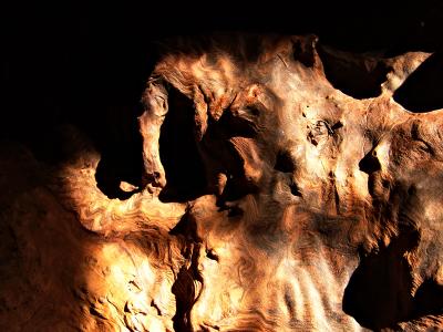 Redwood Burl *  by mlynn