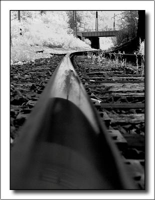 The Rail<br> by dave v