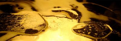 like a Gold