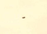 <b>*Is It? or Isnt It?</b><br><font size =1>by Ric Skilton</font>