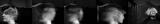 Tale of 2 Faces By Robert Plant
