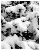 <b>snowy texture</b> <br> <font size=1> by andy</font></p>