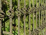 <p align=center><b> Fence Lines </b> <br> <font size=1> by Helen Betts</font></p>