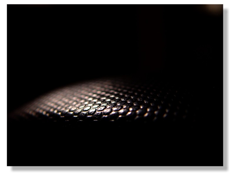 Untitled<br>dave v
