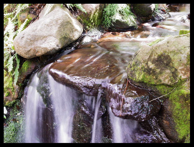 Trickle * <br> by David Clifford