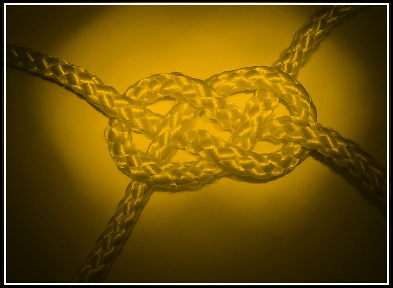 <b>Knot</b><br><font size=1>by bbzippo</font>