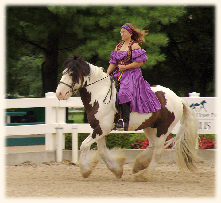 Ky Horse Park