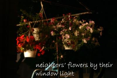 u38/terracatta/medium/32031084.neighflwrs.jpg