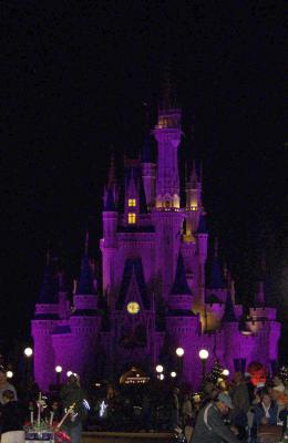 Castle Lighting