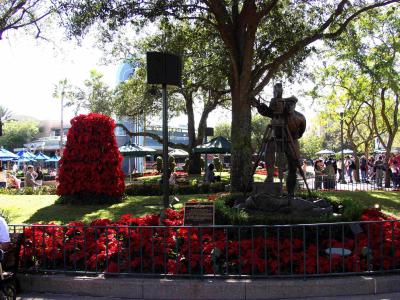 Lots of Poinsettias
